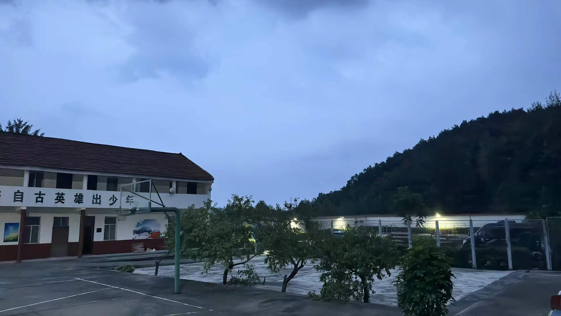 伤痕背后，是呼救的声音记录图片