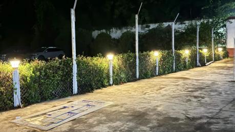 盯视与包容背后的隐伤:从依赖到分离的成长之路记录图片