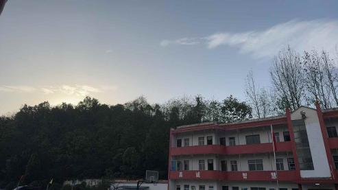 深夜灯火里的四段倾诉记录图片
