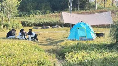 回到“属于自己”的地方记录图片