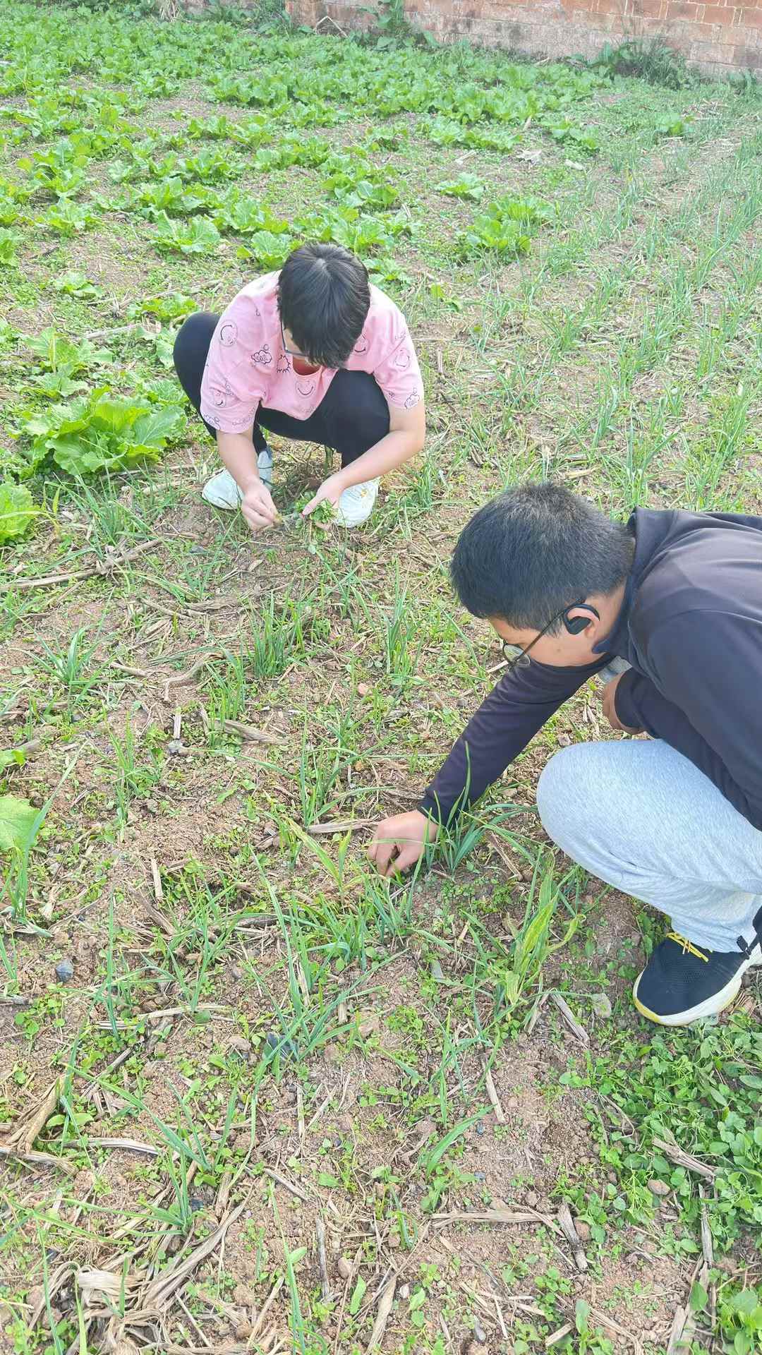 当孩子怕冷时,身体在说什么?记录图片