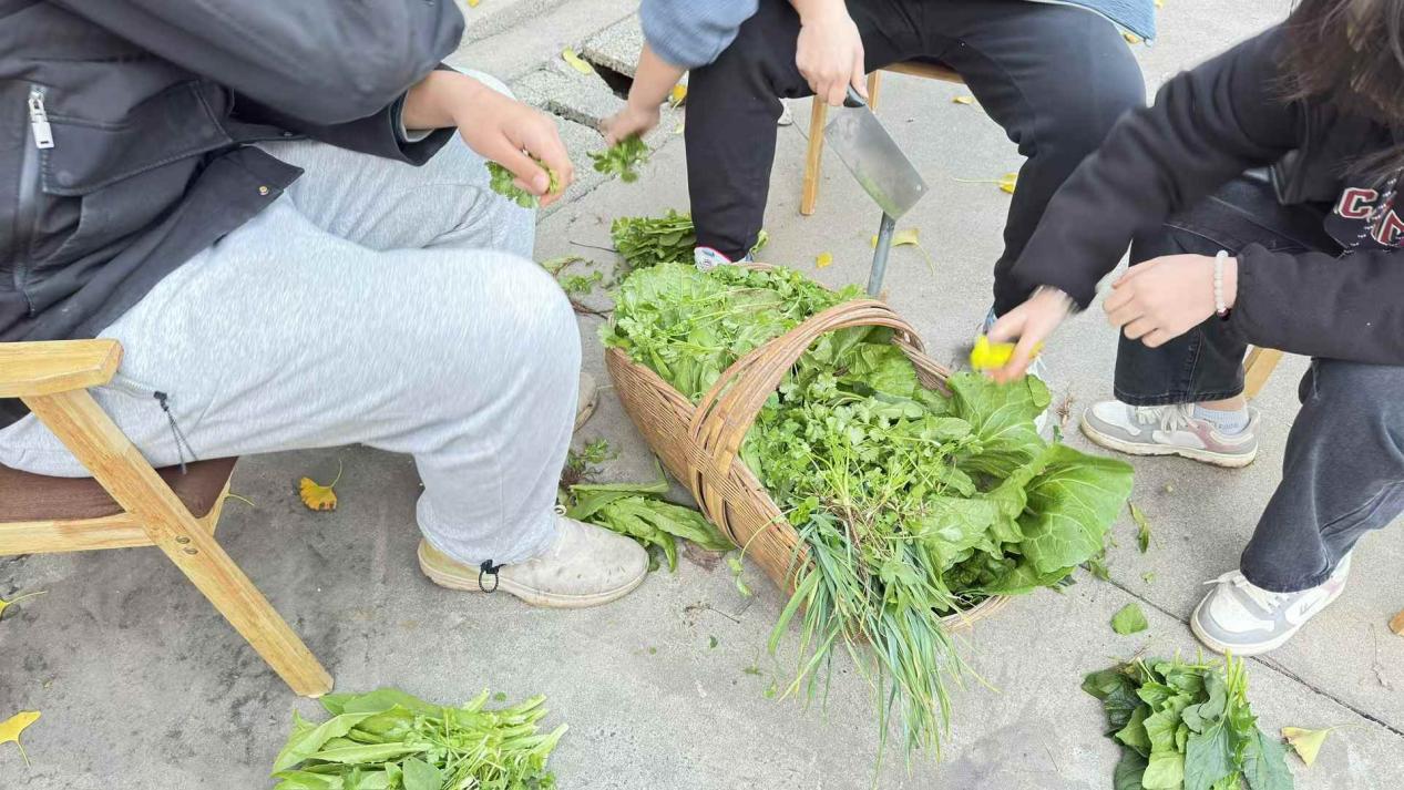 从“我懒”到“我来”记录图片