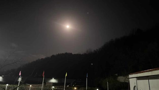 从游戏陪伴到情感链接记录图片