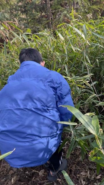 不是被治愈，而是在体验中慢慢长大记录图片