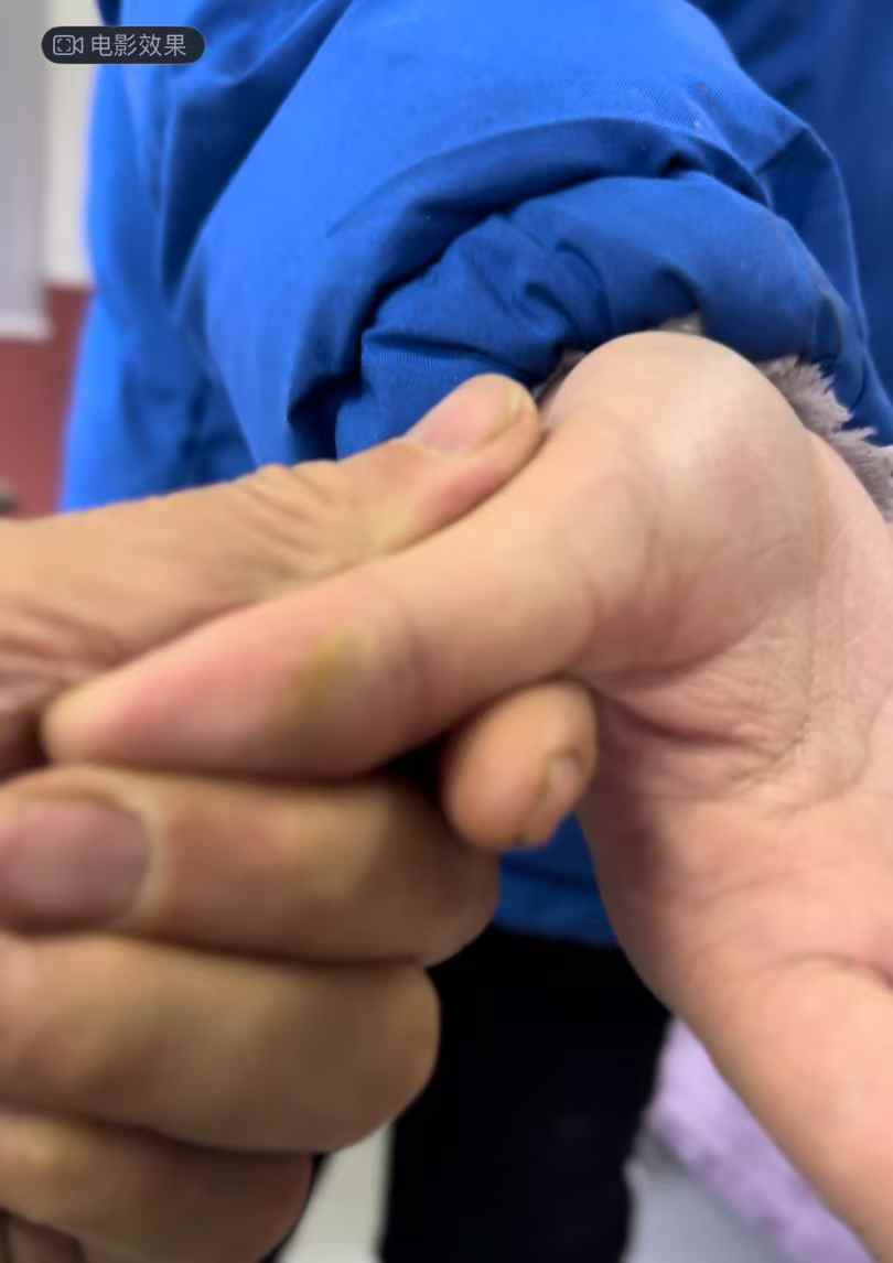一颗种子的力量记录图片