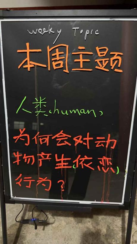 依恋宠物的背后记录图片