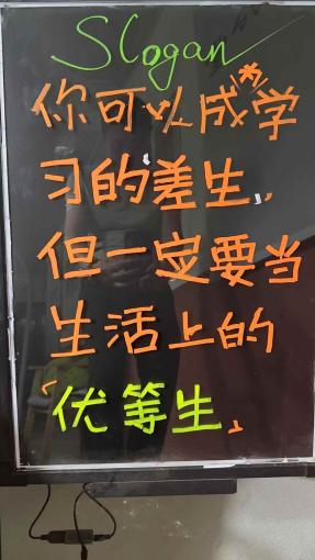 每一株幼苗,都在等一场温柔的雨记录图片