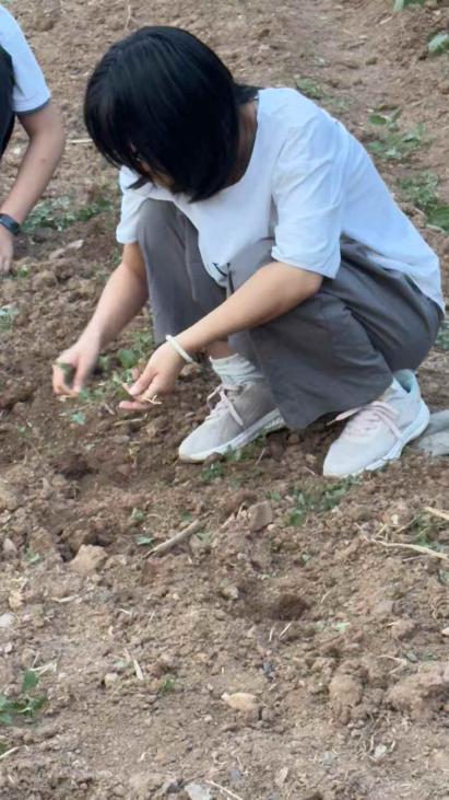 一次破冰的家庭互动记录图片